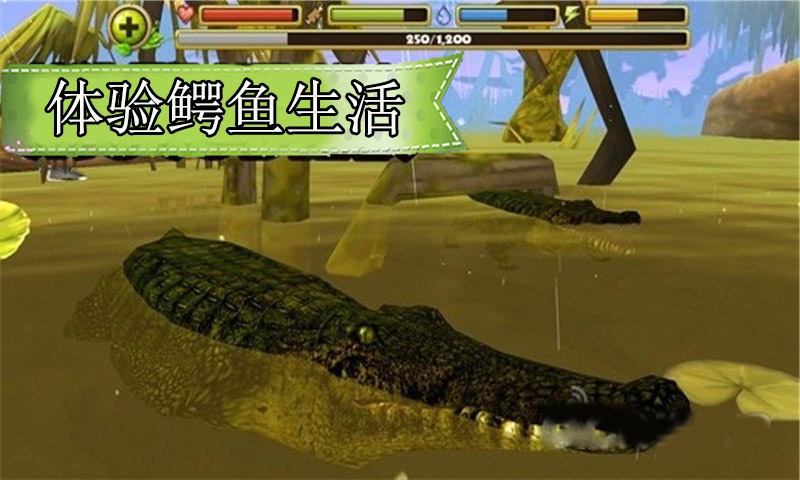 鳄鱼模拟生存游戏下载-鳄鱼模拟生存安卓版下载v1.1.6