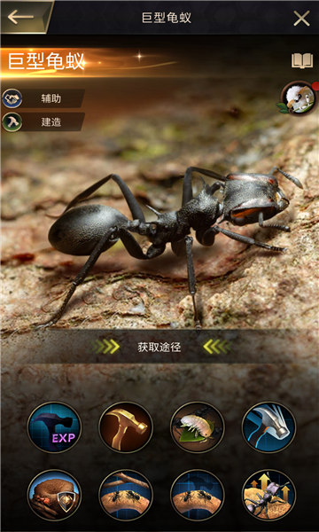 小小蚁国蚂蚁向前冲游戏下载,小小蚁国蚂蚁向前冲手游官方版 v1.43.0
