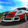 终级拉力赛车游戏下载-终级拉力赛车最新版下载v1.2