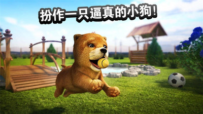 狗狗游戏下载-狗狗（模拟狗狗）安卓手机版下载v2.2.3
