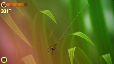 蜘蛛的冒险手游下载-蜘蛛的冒险安卓版免费下载v1.2.110