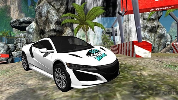 顶级狂热赛车游戏下载-顶级狂热赛车最新版下载v1.6