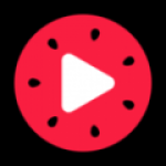 西瓜视频极速版下载-西瓜视频极速版最新免费下载v3.8.6