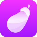 茄子直播app下载官方版-茄子直播最新免费视频安装v2.5.1
