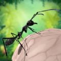 蚂蚁生存3D游戏下载-蚂蚁生存3D安卓版游戏下载v1.0.1