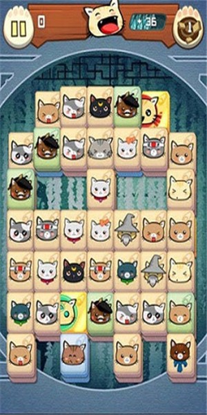 饥饿的小猫游戏下载-饥饿的小猫安卓版下载v1.0.7-圈圈下载