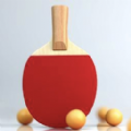 模拟乒乓球下载安装下载,模拟乒乓球游戏下载安装 v1.0