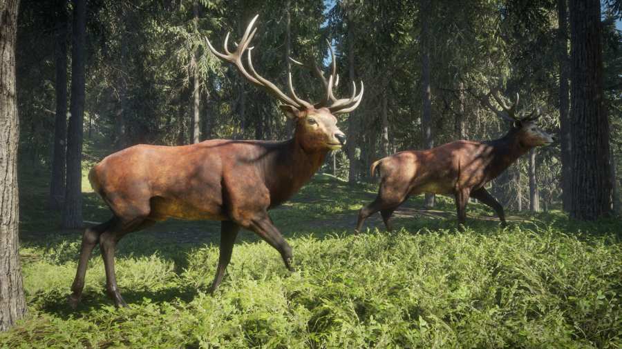 猎人荒野的呼唤安卓版游戏下载-猎人荒野的呼唤开放世界狩猎手游下载v1.0