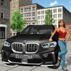 疯狂城市汽车模拟器游戏下载-疯狂城市汽车模拟器最新版下载v1.0