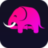 大象直播app安卓版永久免费-大象直播在线观看视频无限制v3.0.8