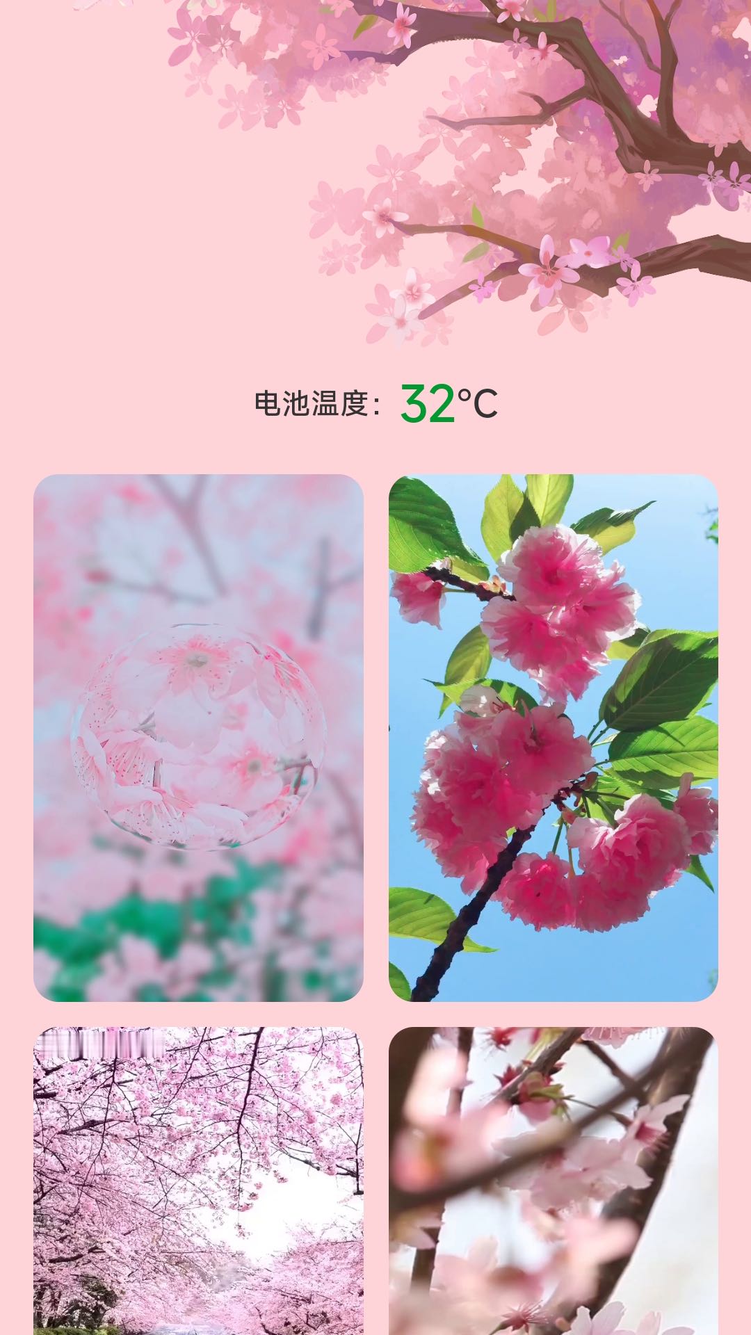 樱花充电app下载,樱花充电app官方版 v2.0.1