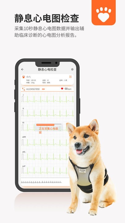 星爱宠app安卓版下载-星爱宠宠物身体健康数据管理下载v01.00.00.29