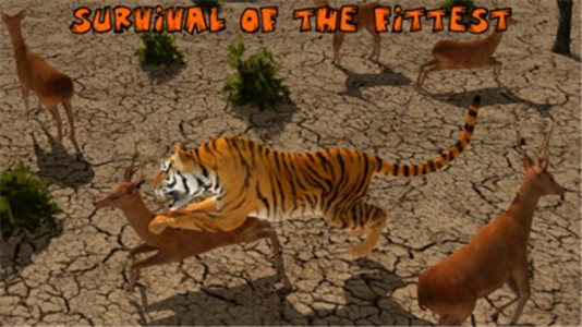 终极狮虎模拟游戏下载-终极狮虎模拟安卓版下载v1.2