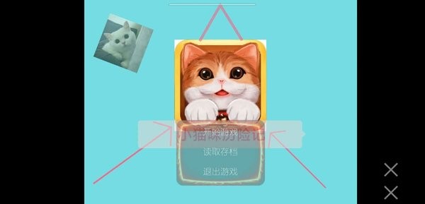 小猫咪历险记游戏下载-小猫咪历险记最新版下载v0.5.9