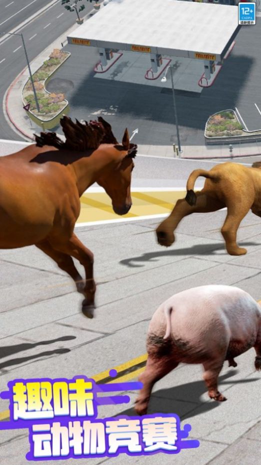 超级动物竞速游戏官方版图片1