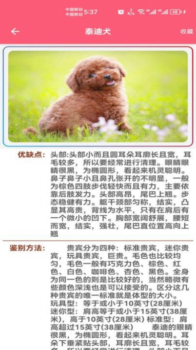 宠物宝宝大全app下载,宠物宝宝大全app官方版 v1.0.0