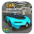 汽车极速特技驾驶游戏下载-汽车极速特技驾驶最新版下载v1.0