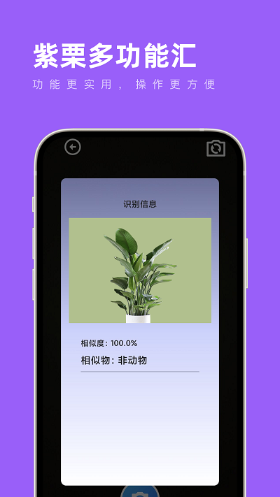 紫栗多功能汇app安卓版下载-紫栗多功能汇功能强大实用性强手机工具下载v1.0.0