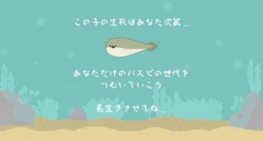 饲养一只萨卡班甲鱼最新版下载,饲养一只萨卡班甲鱼下载安卓最新版 v1.2.2