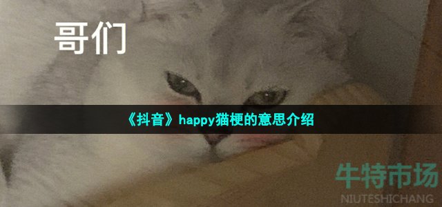 《抖音》happy猫梗的意思介绍