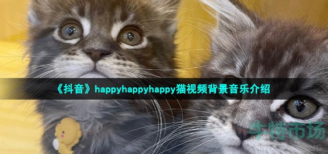 《抖音》happyhappyhappy猫视频背景音乐介绍