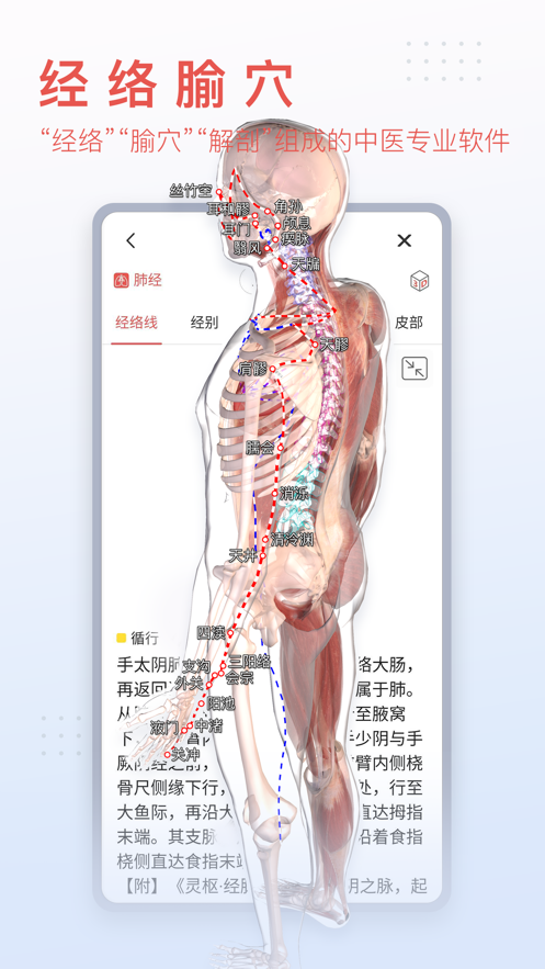 3Dbody解剖学软件下载-3Dbody解剖appv8.7.31 最新版