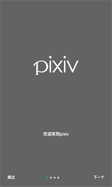p站免费版下载-p站免费版(pixiv)v6.62.0 安卓版