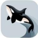 虎鲸快讯app下载-虎鲸快讯新闻资讯阅读中心安卓版下载v1.0.0