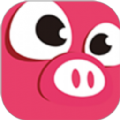 汇小猪app下载,汇小猪app安卓版 v1.0.4