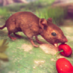 老鼠模拟器猫和老鼠安卓版游戏下载-老鼠模拟器猫和老鼠(MouseSimulatorCatMouse)免费手游下载v1.0.1