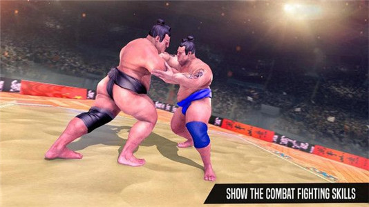 相扑摔跤手2020游戏下载-相扑摔跤手2020安卓版下载v1.4