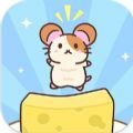 奶酪仓鼠游戏下载,奶酪仓鼠游戏最新版 v1.0.1