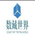 数藏世界app下载,数藏世界数字藏品交易app官方下载 v1.1.1