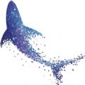 星鲨线上VR学院app下载,星鲨线上VR学院app官方版 v1.0.0