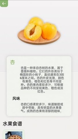 指尖果园app安卓版下载-指尖果园提供详细的水果信息介绍下载v0.1