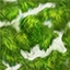《迷你世界》苔藓获取方法作用一览