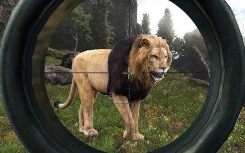 狩猎冲突2021游戏下载-狩猎冲突2021最新版下载v1.0