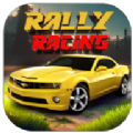 拉力赛车纳斯卡手游下载-拉力赛车纳斯卡(RallyRacing)最新安卓版下载v0.4.2