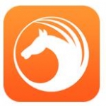 天马浏览器app下载-天马浏览器安卓版下载v1.0.0.1000
