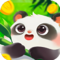 好运熊猫下载安装下载,好运熊猫app下载安装最新版 v1.0.5